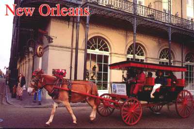 no-horse.jpg - 117264 Bytes